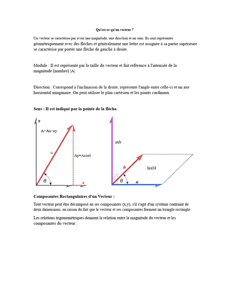 Qu'est-Ce Qu'un Vecteur | PDF