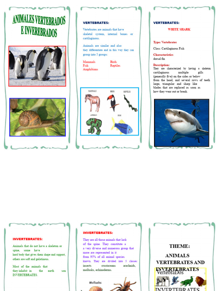 Vertebrates vs. Invertebrates Overview | PDF | Vertebrates | Skeleton