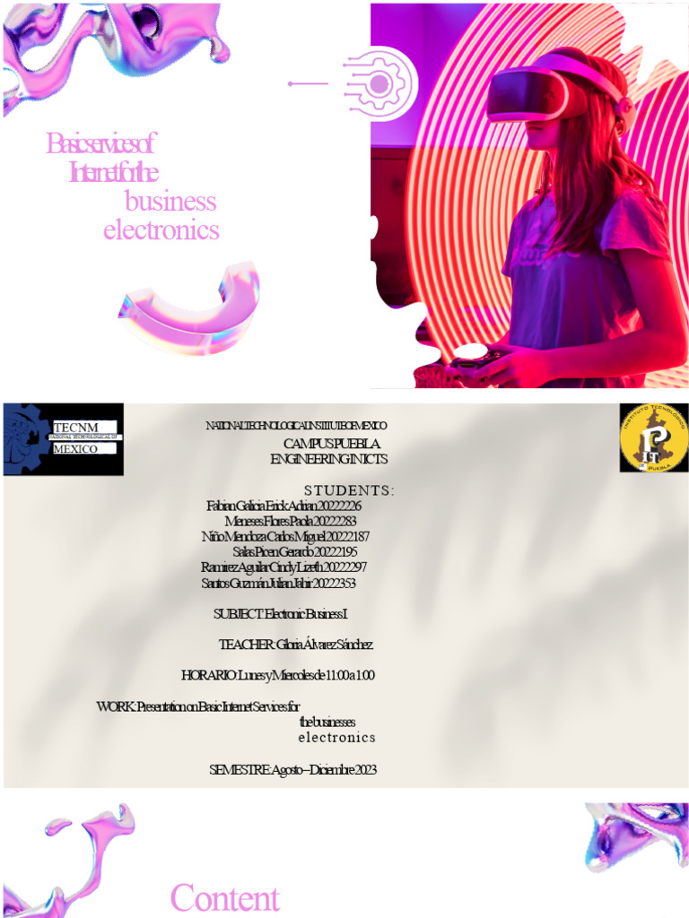 Basic Internet Services for E-Business | PDF | Internet | World Wide Web