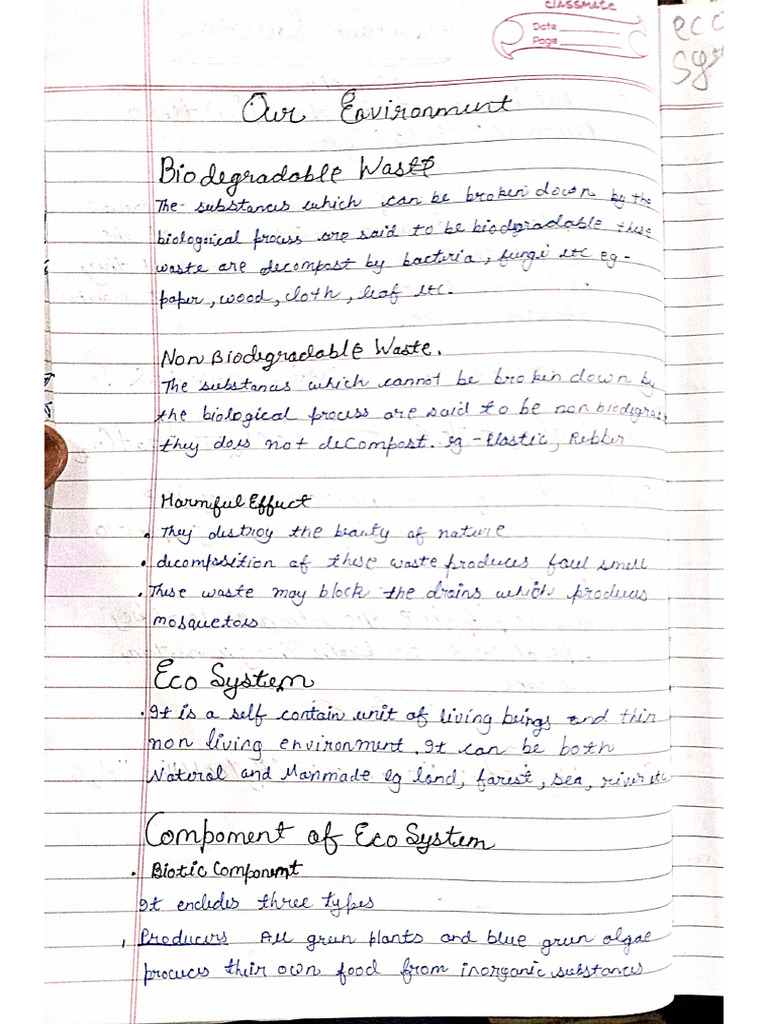 Our Environment Notes | PDF