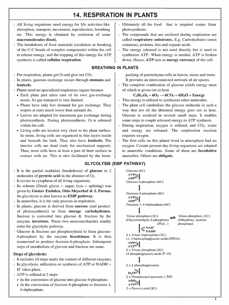 Respiration in Plants | PDF