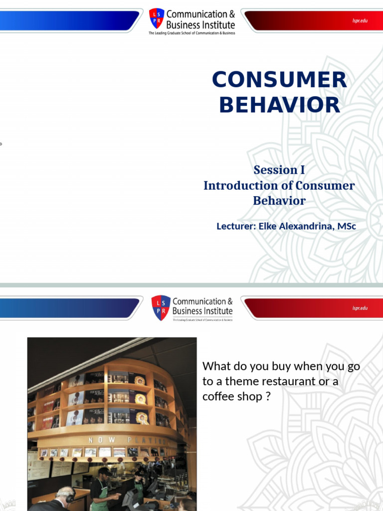 Understanding Consumer Behavior Basics | PDF