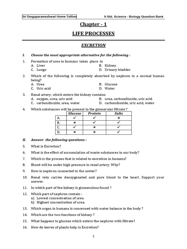 Biology Question Bank Chapter-1 Life Process (Excretion) | PDF | Kidney ...