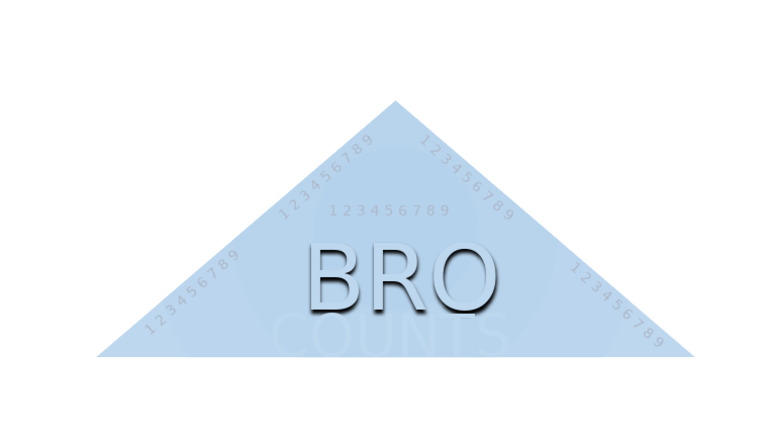 Bro Counts | PDF