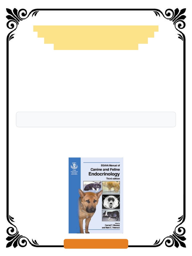 46594 | PDF