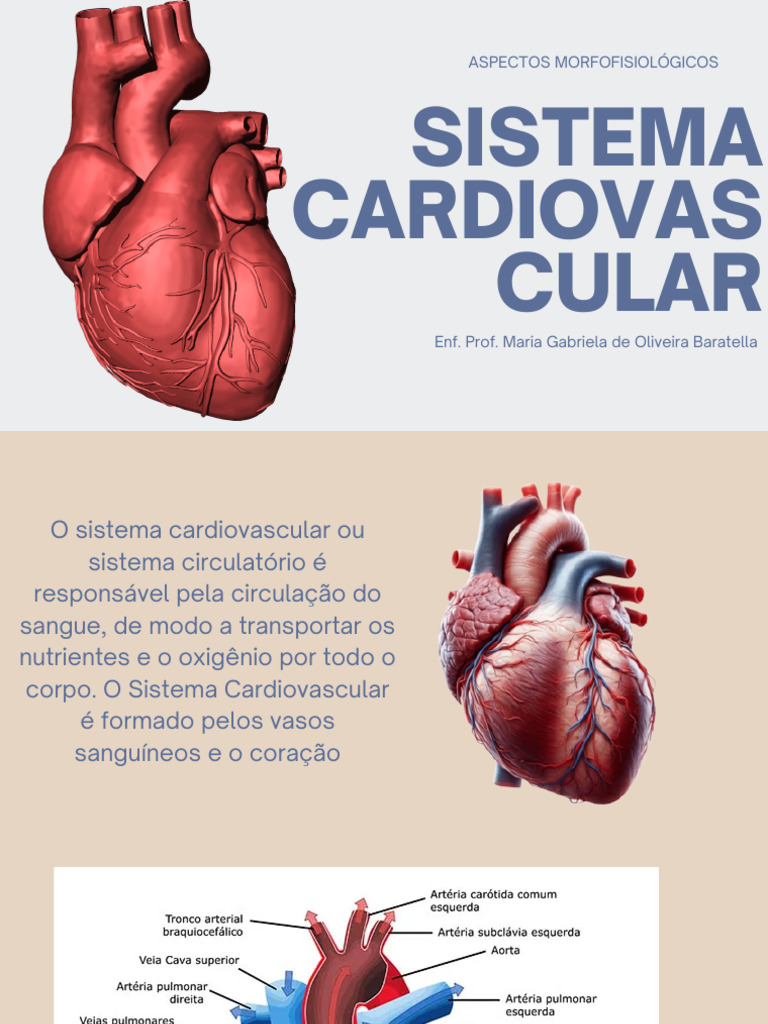 Estrutura e Função do Sistema Cardiovascular | PDF | Sistema ...
