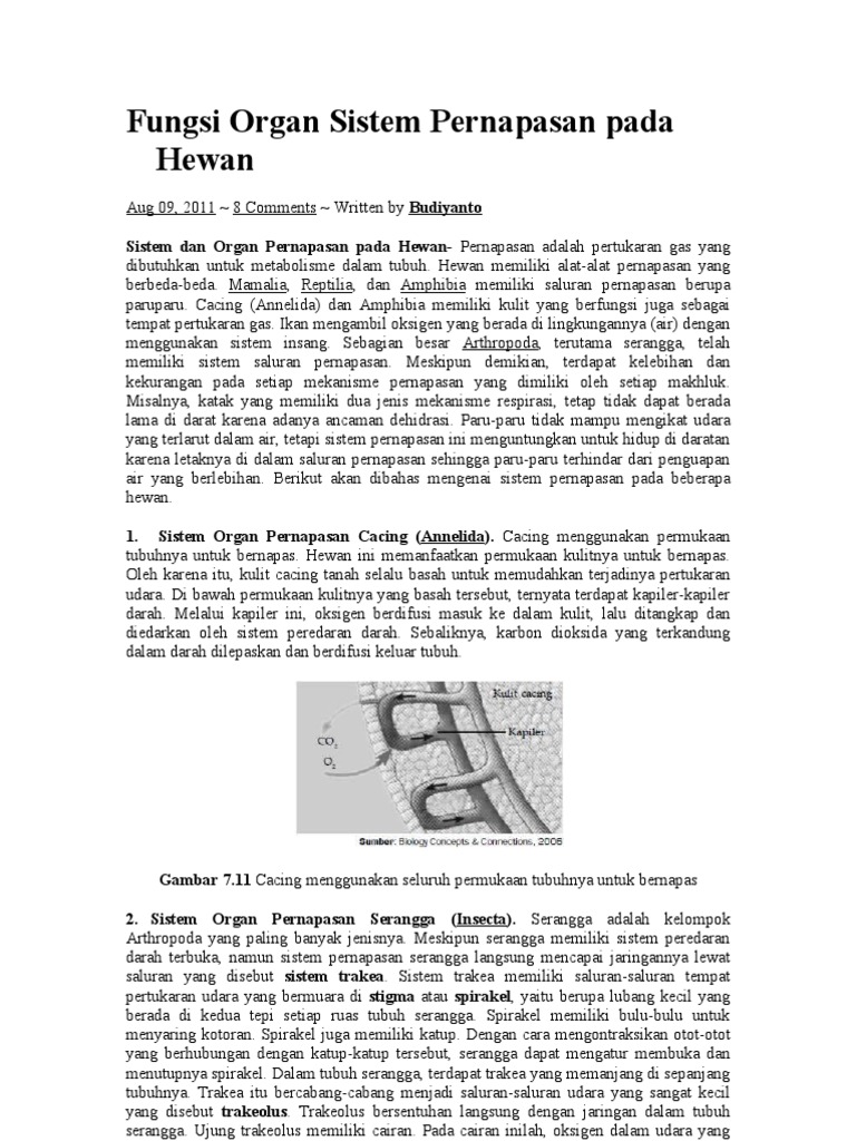 Fungsi Organ Sistem  Pernapasan  Pada Hewan 