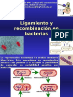 Ligamiento y Recombinación