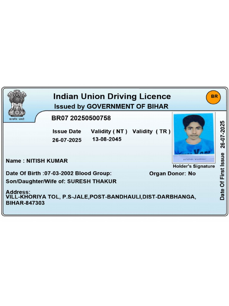Driving Licence | PDF