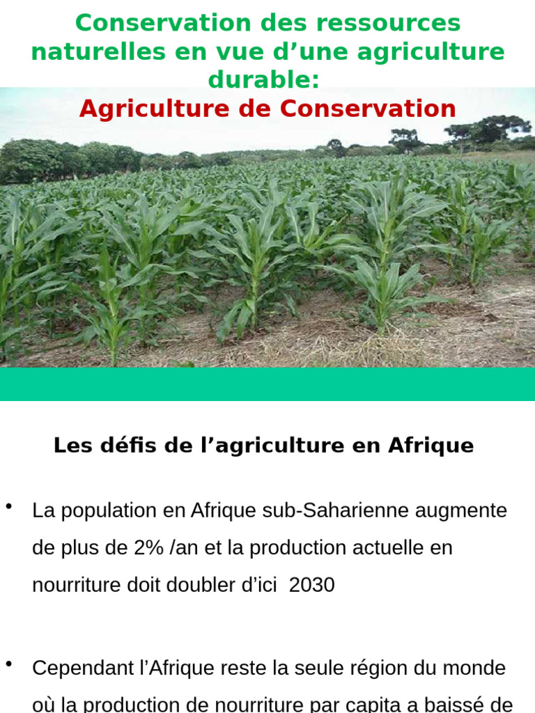 Agriculture de Conservation en Afrique | PDF | Sol (pédologie ...
