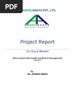 Project Report