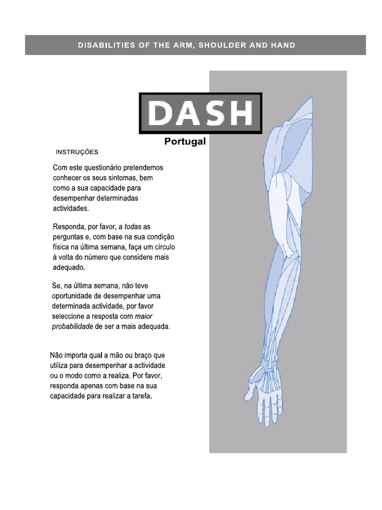 Dash | PDF