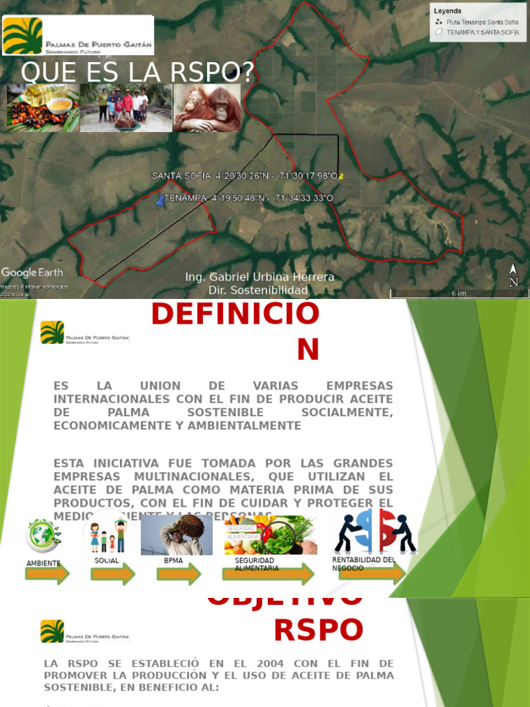rspo-aceite-de-palma-sostenible-pdf