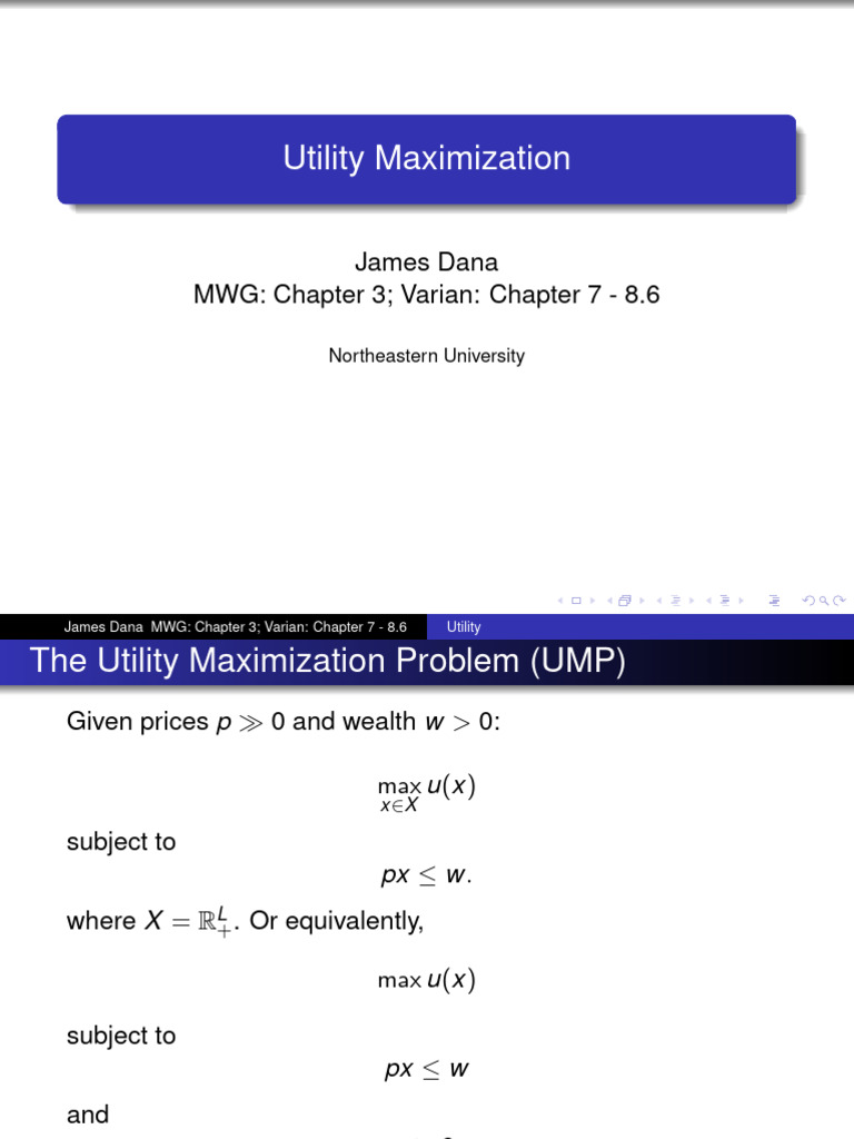 Understanding Utility Maximization | PDF | Utility | Consumer Behaviour