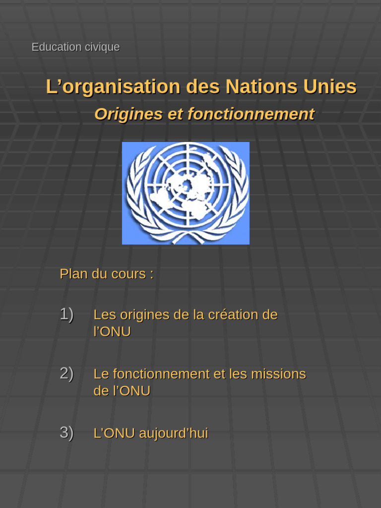 Comprendre l'Organisation des Nations Unies | PDF | Nations unies ...