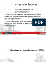 Redd Peru in International Negotiations-Augusto Castro Nunez