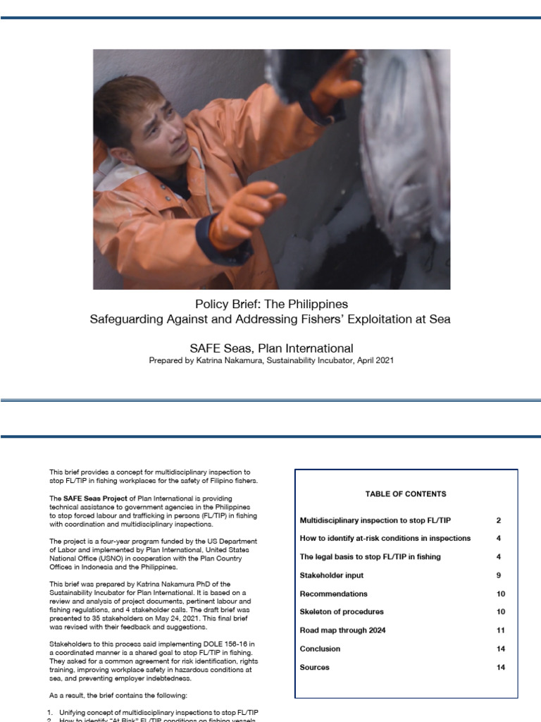 Multidisciplinary Inspections Policy Brief - Philippines - S | PDF ...