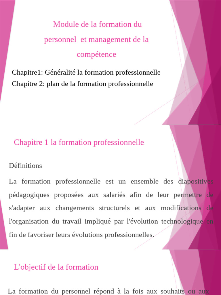 Formation Professionnelle : Objectifs et Types | PDF | Business | Pédagogie