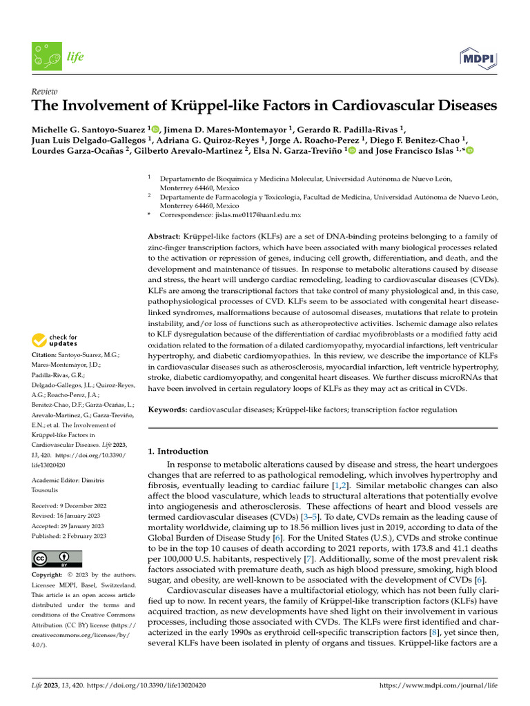 Kruppel Like Factors | PDF | Atherosclerosis | Ischemia