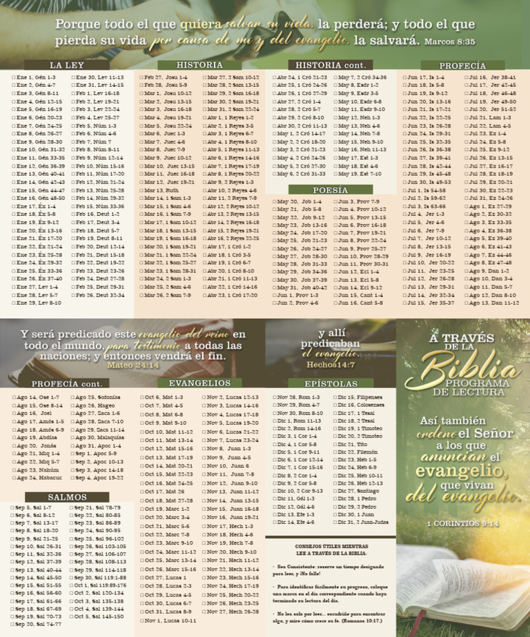 Lectura Diaria de la Biblia 2024 | PDF | Doce profetas menores | Biblia