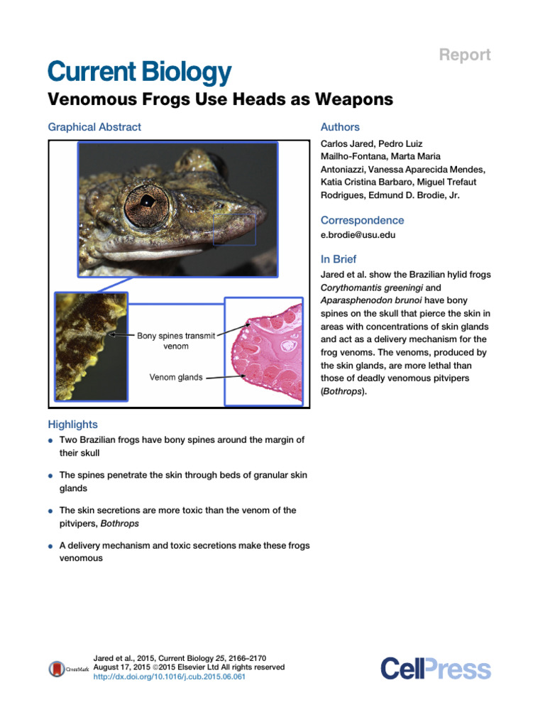 Venomous Frogs Use Heads As Weapons 2015 Curbio | PDF | Skin | Venom