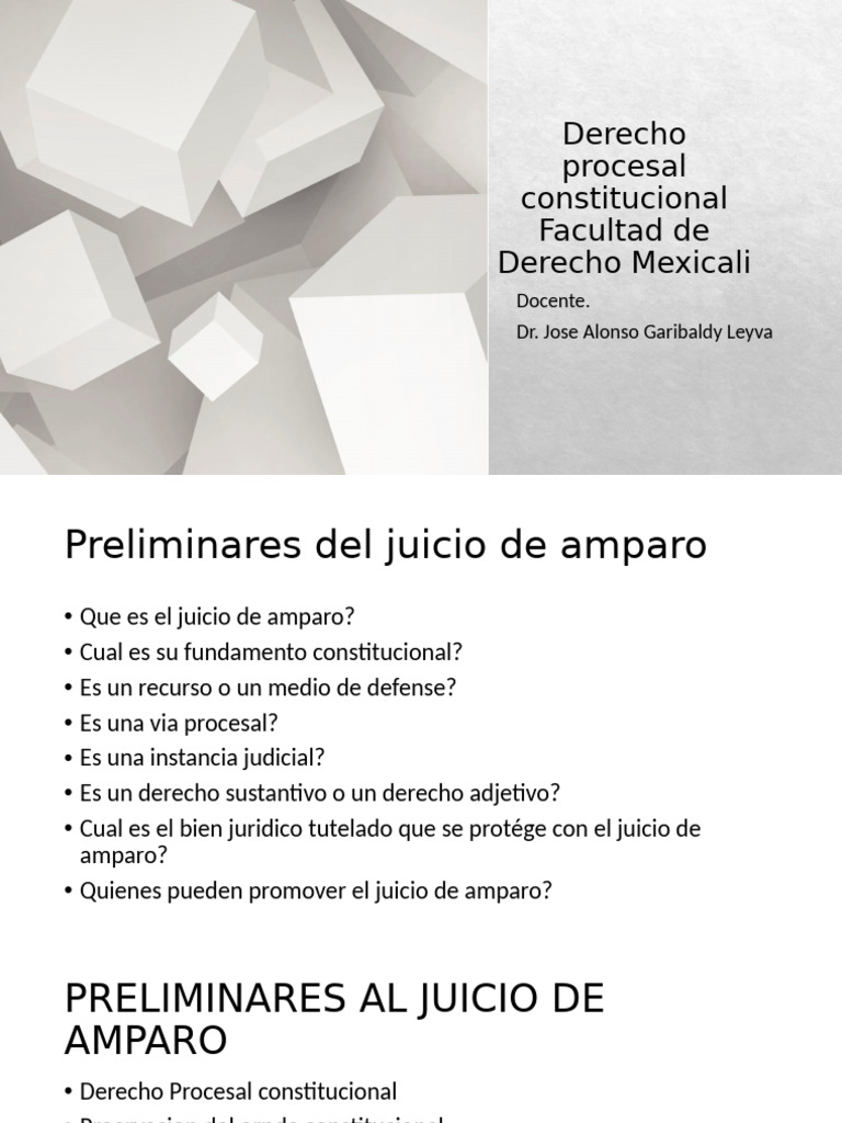 Preliminares del Juicio de Amparo en México | PDF | Derecho ...