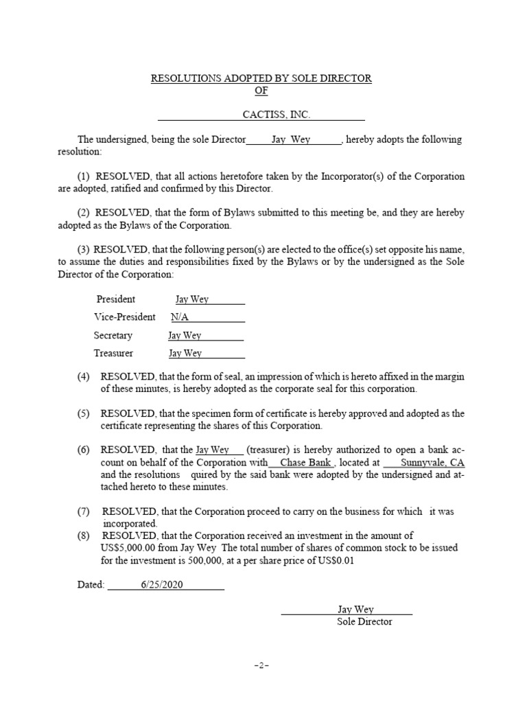 CACTISS - Resolution Adopted by Sole Director | PDF