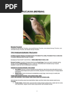 Download Burung Trucukan by Inung Aixs SN96712165 doc pdf