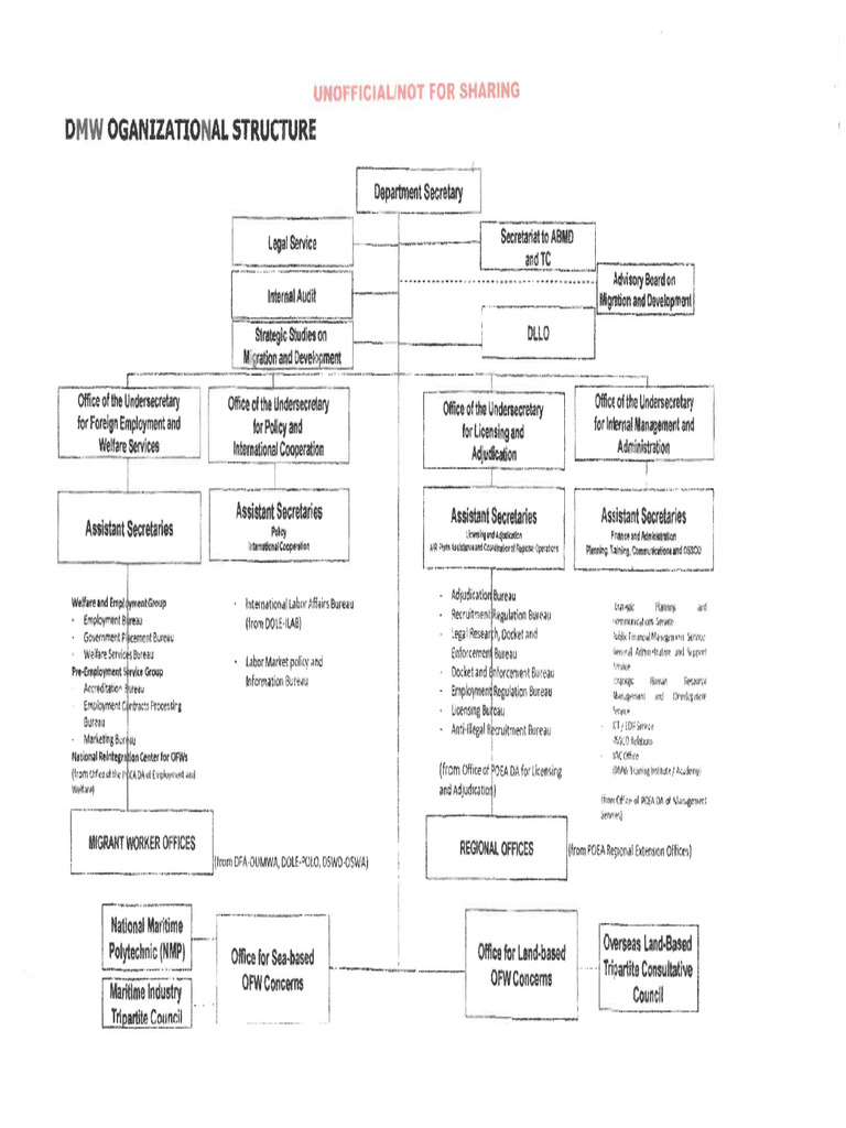 DMW Organizational Structure | PDF