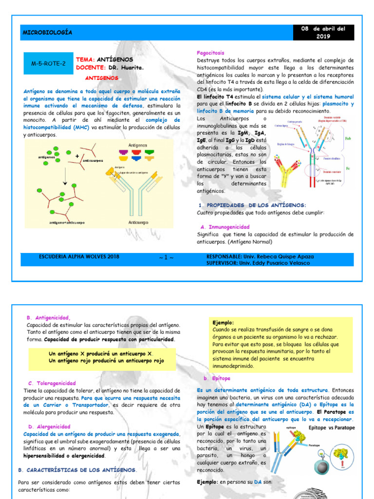 M 05 Antigenos R2 | PDF | Antígeno | Anticuerpo