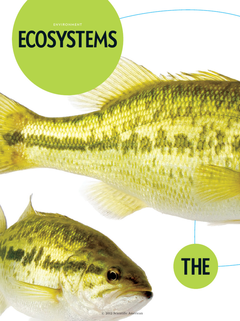 Predicting Food Web Changes in Ecosystems | PDF | Food Web | Ecology