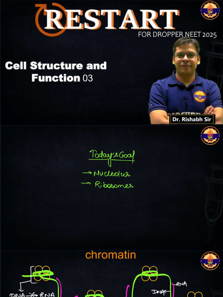 Cell The Unit of Life 03 Nucleolus Ribosome | PDF