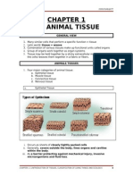 6 Bio200 Chapter 11