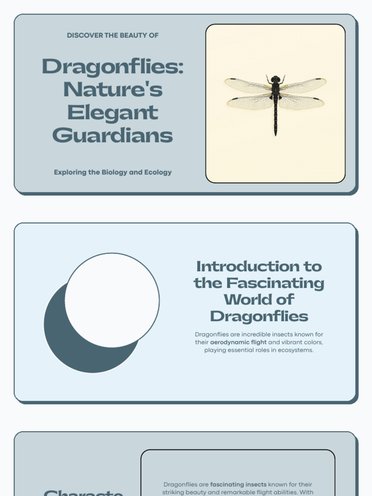 Dragonflies: Biology and Ecology Insights | PDF | Dragonfly | Insects