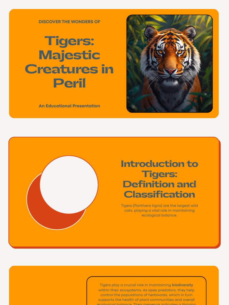 Importance and Conservation of Tigers | PDF | Tiger | Conservation Biology