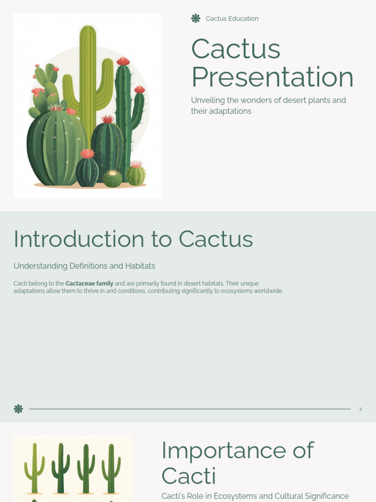 Cactus Presentation | PDF | Desert | Ecosystem