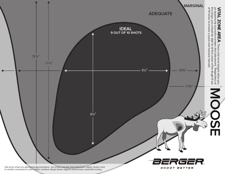 Moose Vital Zone Target Guide | PDF
