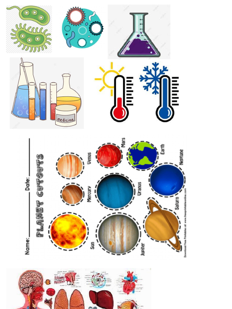 Science | PDF