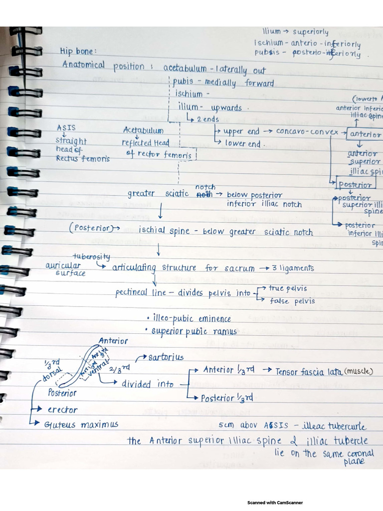 b2 Batch Notes Mayuri Maam | PDF