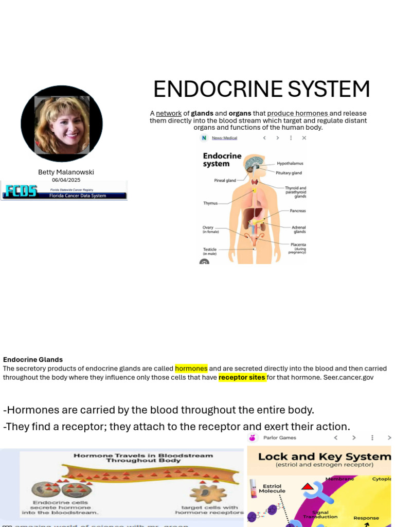 Overview of the Endocrine System | PDF | Thyroid | Endocrine System