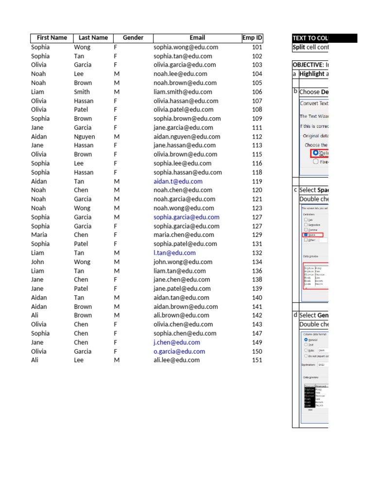 Excel Data Management Techniques | PDF | Computing | Computer Programming