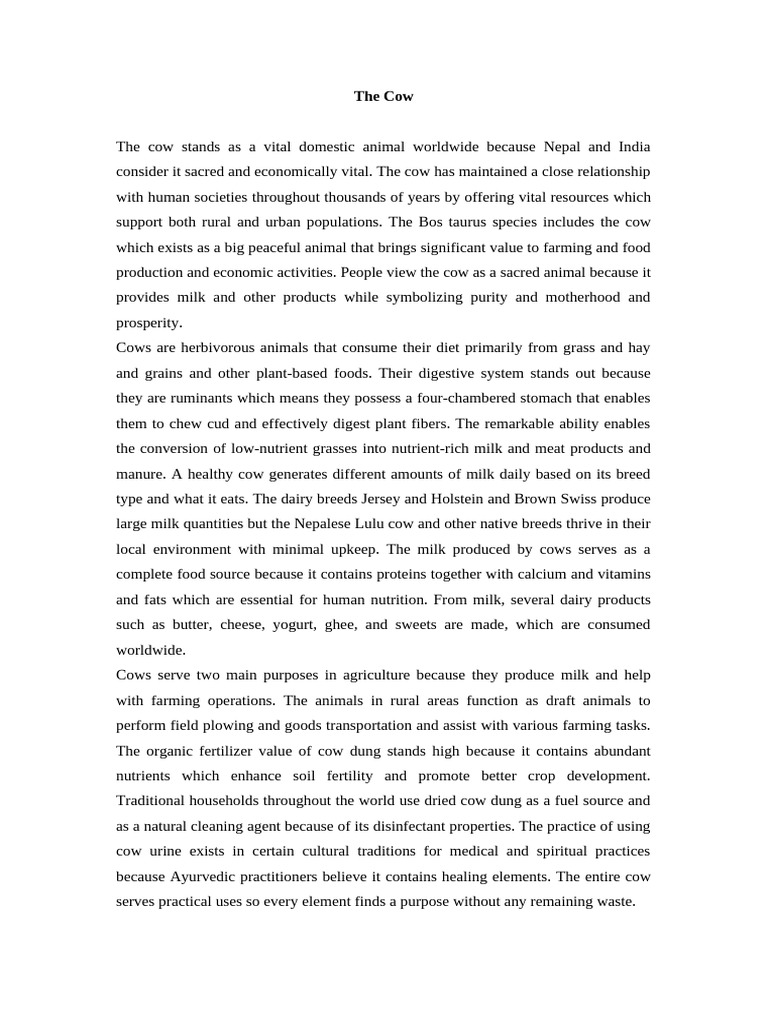Importance of Cows in Agriculture and Culture | PDF | Cattle | Milk