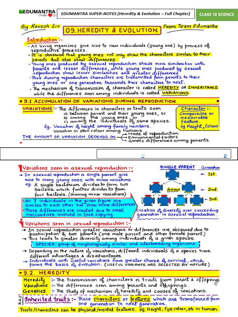 Class 10 Heredity & Evolution Notes | PDF