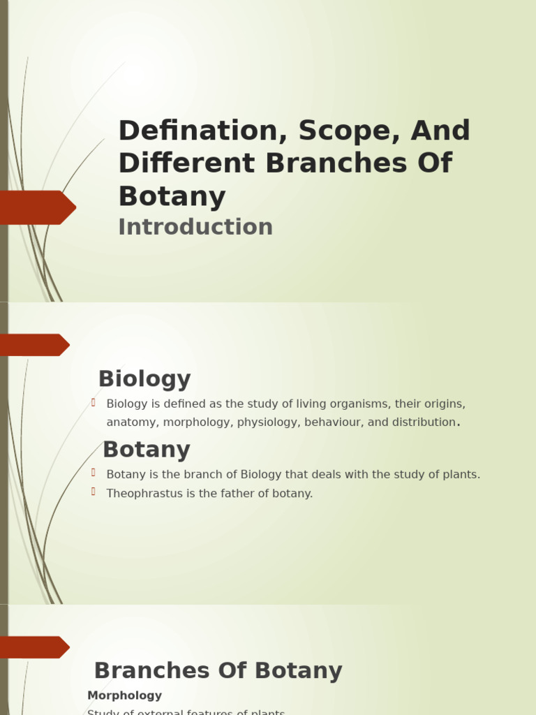 Overview of Botany and Its Branches | PDF | Botany | Plants