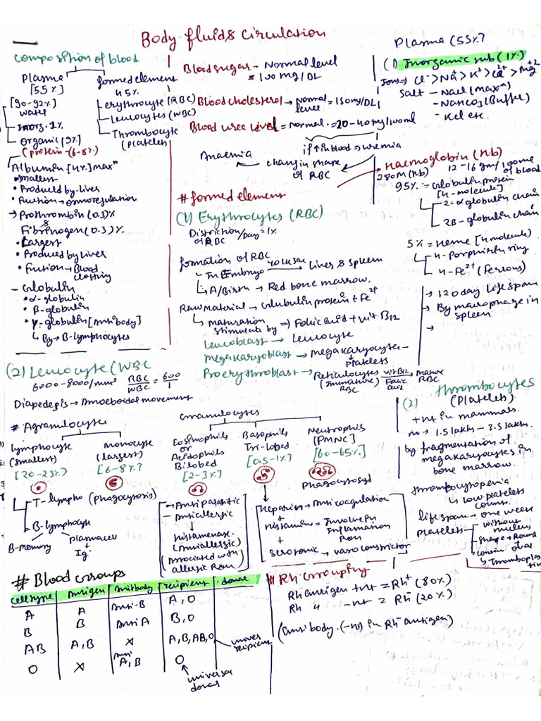 Body Fluid and Circulation | PDF