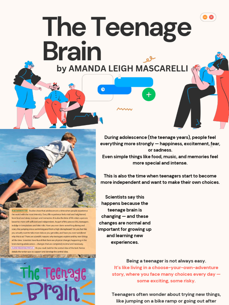 Teenage Brain (24-33) W10 | PDF | Adolescence | Reward System