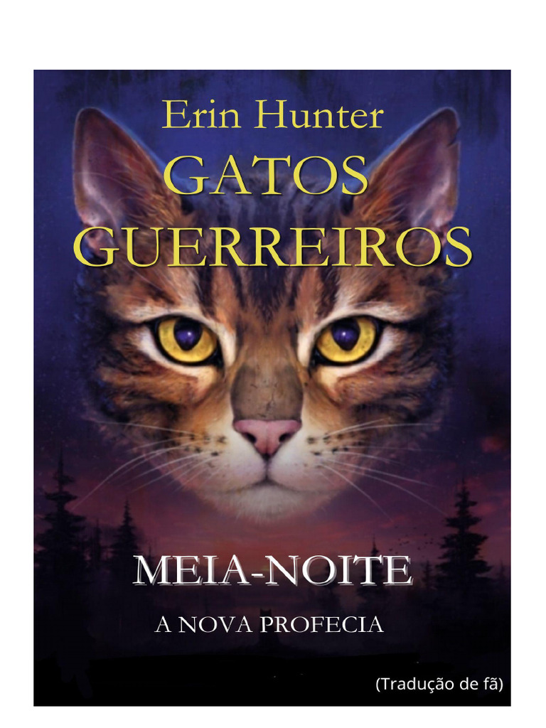 Cavaleiro Medieval com Gato Sphynx em Armadura de Damasco - Galeria de  Imagens AI | Diffus, image size:768x1024