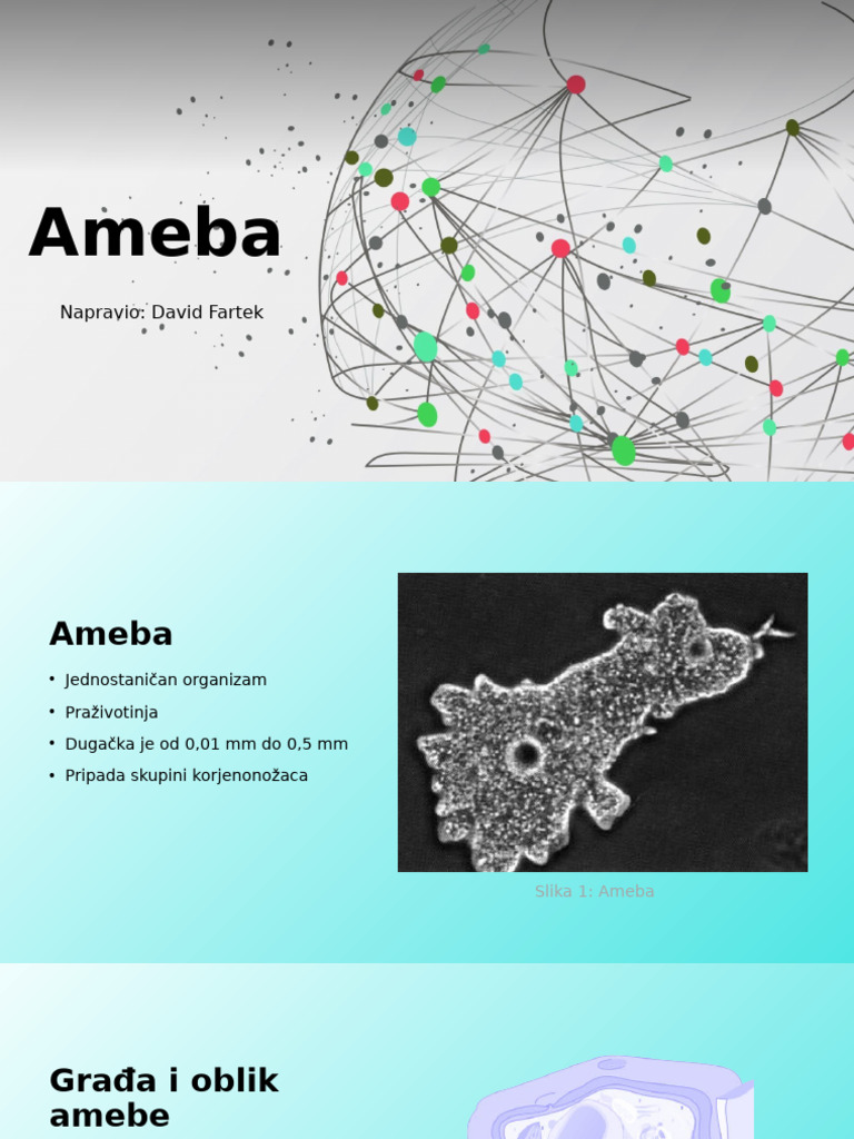 Ameba | PDF