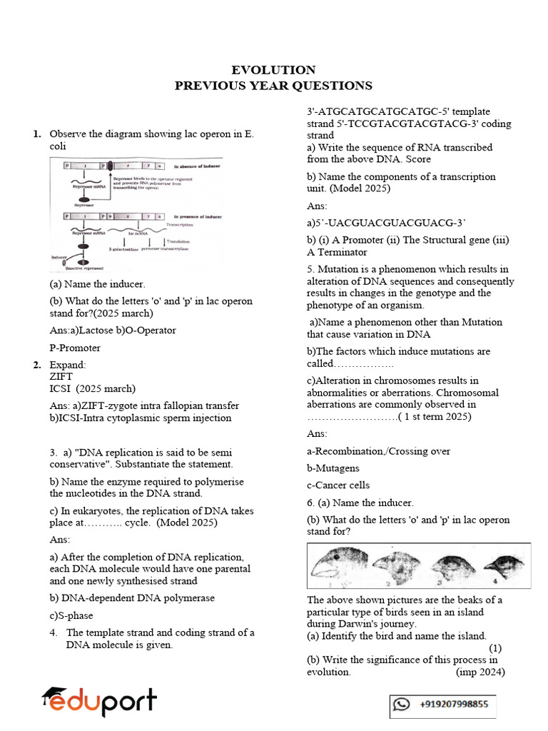 P2 B6 EVOLUTION0716094034oshoaq | PDF | Evolution | Homo