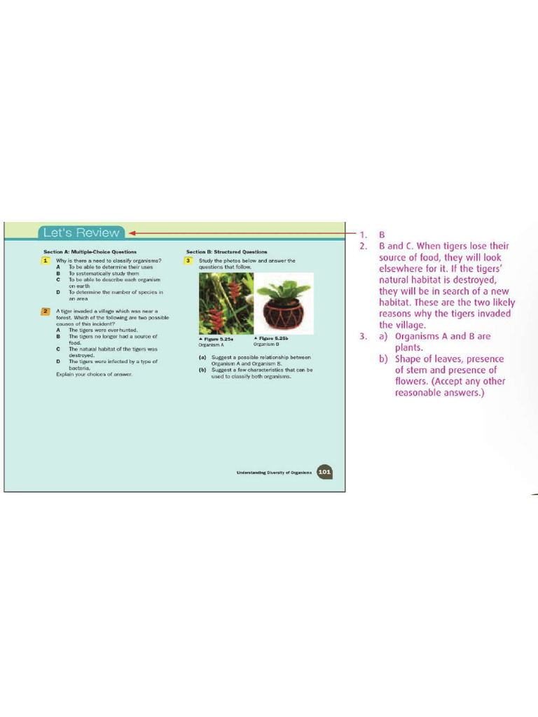 Science Test Practice - Chapter 5 | PDF